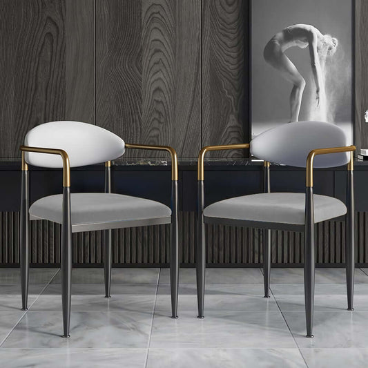 Modern Velvet Arm Chair Set - Solid Back, Metal Legs Main Product Image