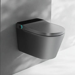 Wall Mounted Bidet in Black Finish