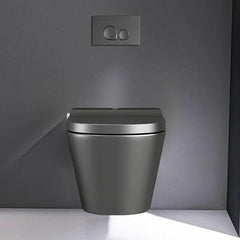 Wall Mounted Bidet in White Finish