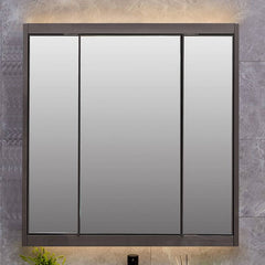 Dove grey stainless alloy medicine cabinet