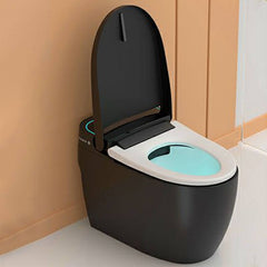 modern black bidet with heated seat