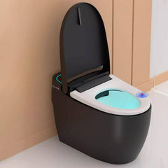 user-friendly panel of floor mount bidet