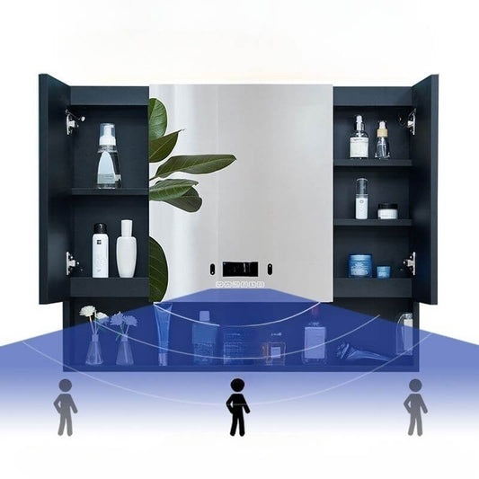 Interior of black stainless steel medicine cabinet