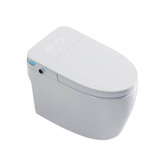 Chalk Vitreous China Temperature Control Bidet