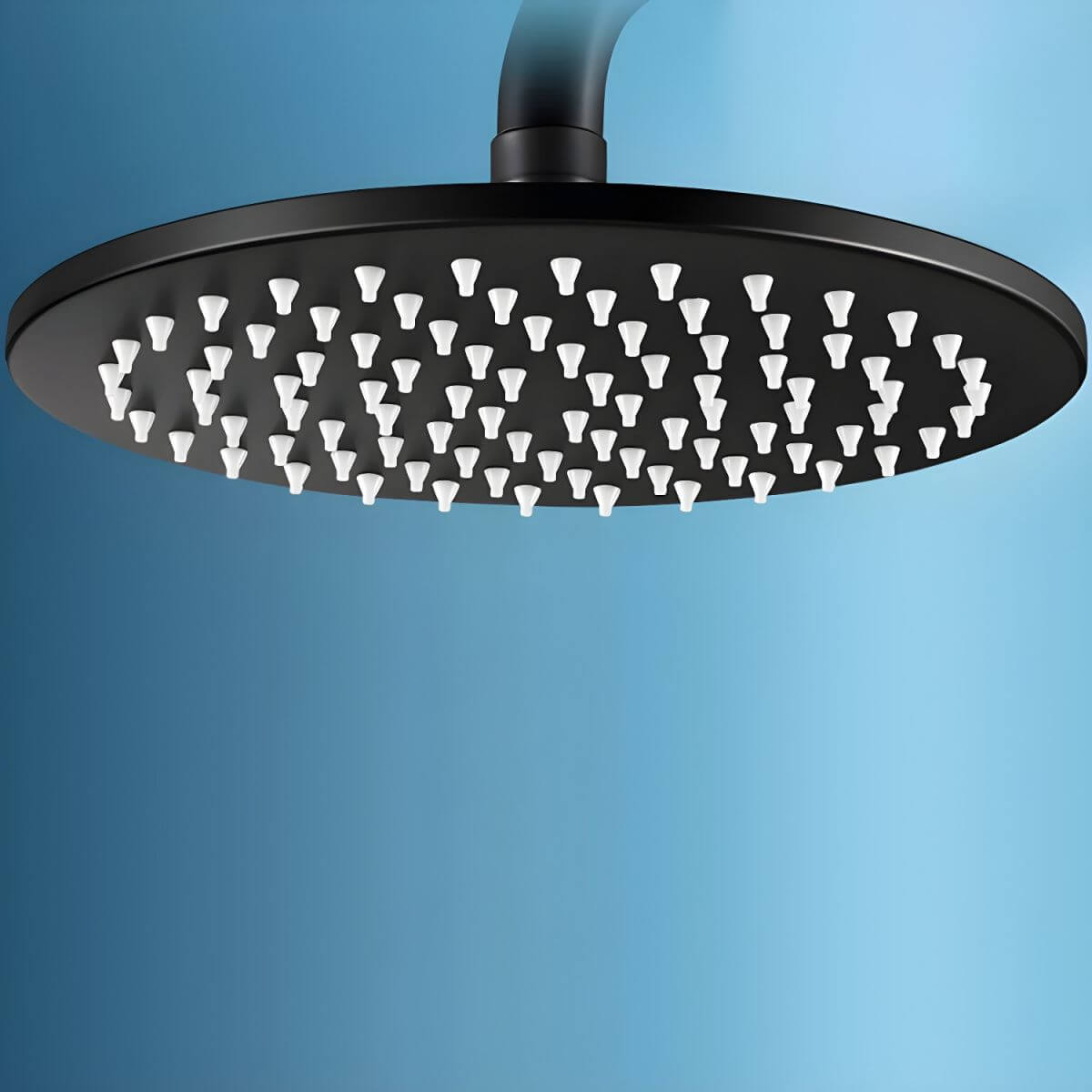 Classic Fixed Shower Head in Black Round