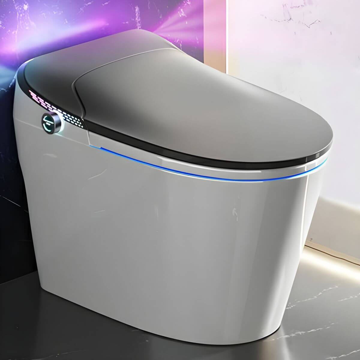 Bathroom Interior with Comfort Fit Bidet