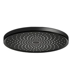 Stylish black metal shower head