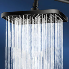 Contemporary Rain Fall Shower Head in Black Finish