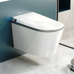 Scratch Resistant Bidet Surface