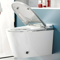 Floor Mount Bidet with Clean Lines