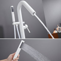 Chic modern faucet with hand shower