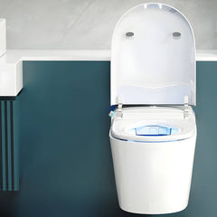 Close-up of elongated bowl shape bidet