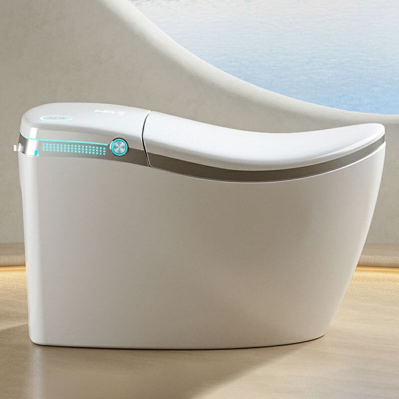 Close-up of bidet controls