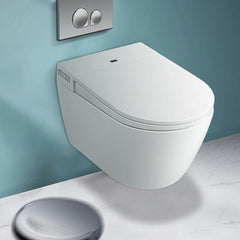 Stylish wall mount bidet installation