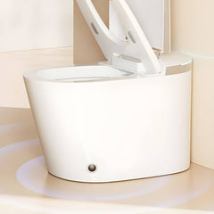 Bidet with Heated Seat for Comfort