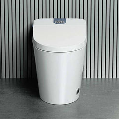 Floor Mount Bidet with Heated Seat