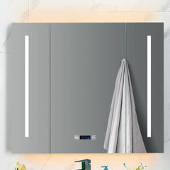 Modern Medicine Cabinet Interior Storage