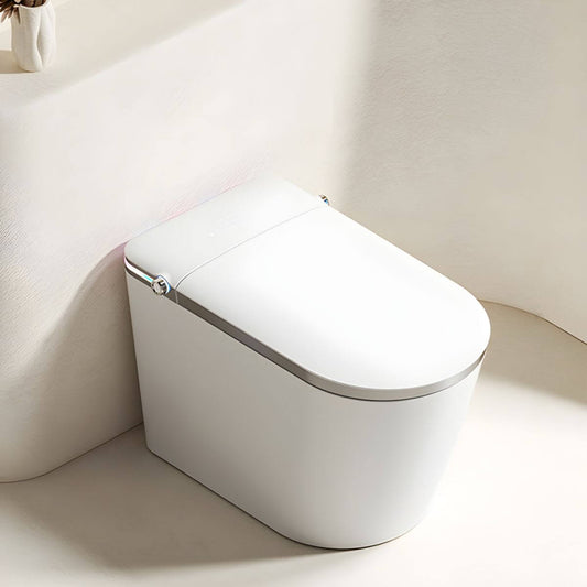 Elegant elongated bidet design