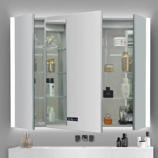 interior view of adjustable glass shelves in medicine cabinet