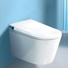 Luxury Wall Mount Bidet Heated Seat Feature