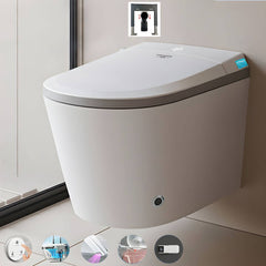 Luxury Wall Mount Bidet Front View