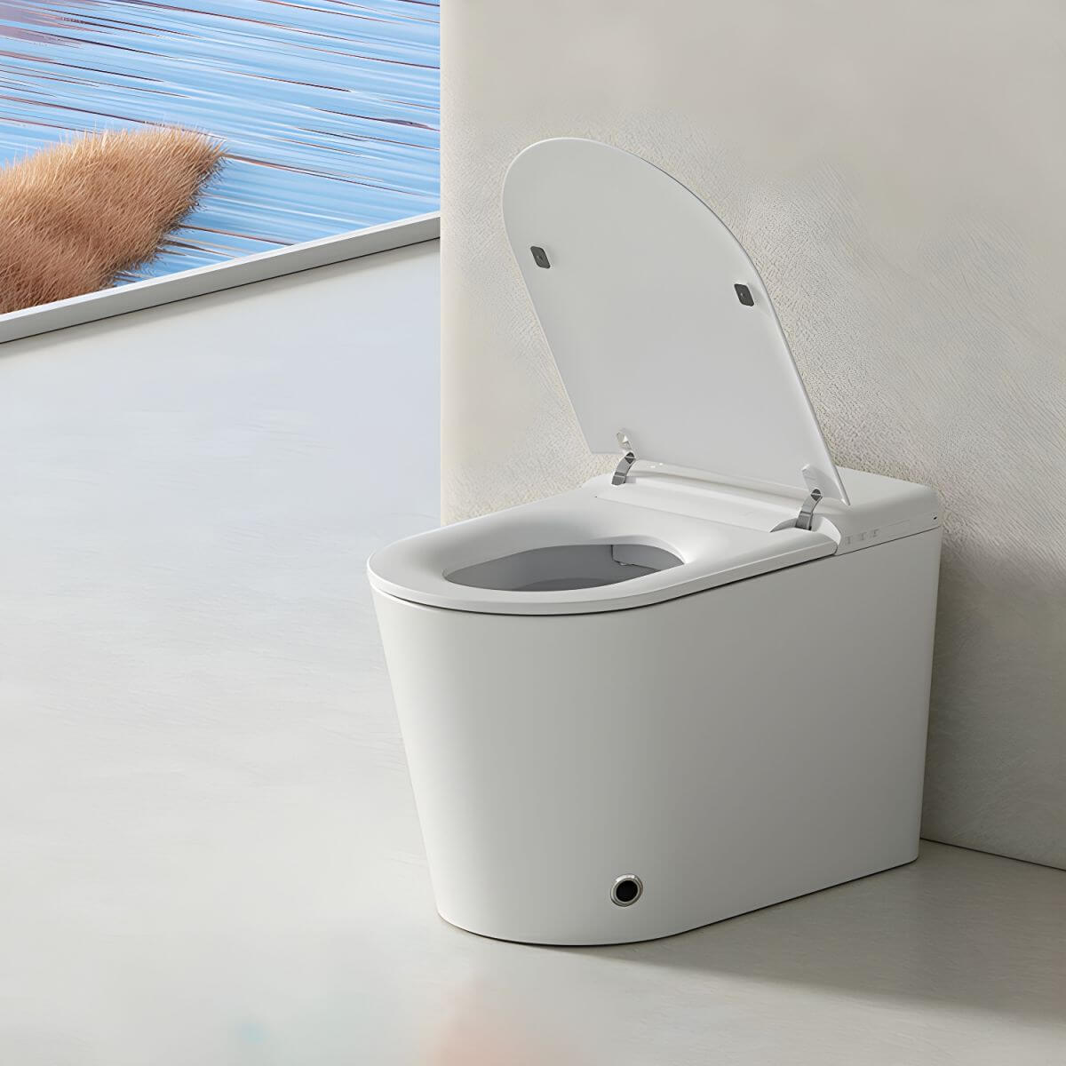 Elongated Bowl Bidet