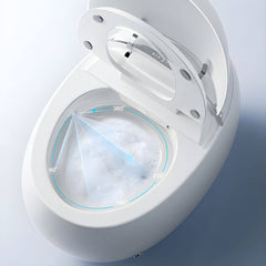 Comfortable round bowl shape bidet