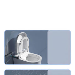 White and black bidet combination