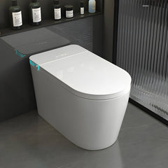 Stain-Resistant Elongated Floor-Mount Bidet in White