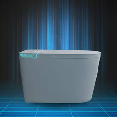 Grey Elongated Floor-Mount Bidet with Heated Seat