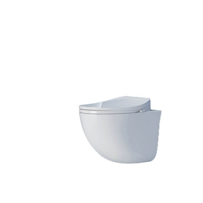 White wall mount bidet installation