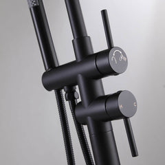 Brewst Freestanding Bathtub Faucet with Hand Shower in Matte Black