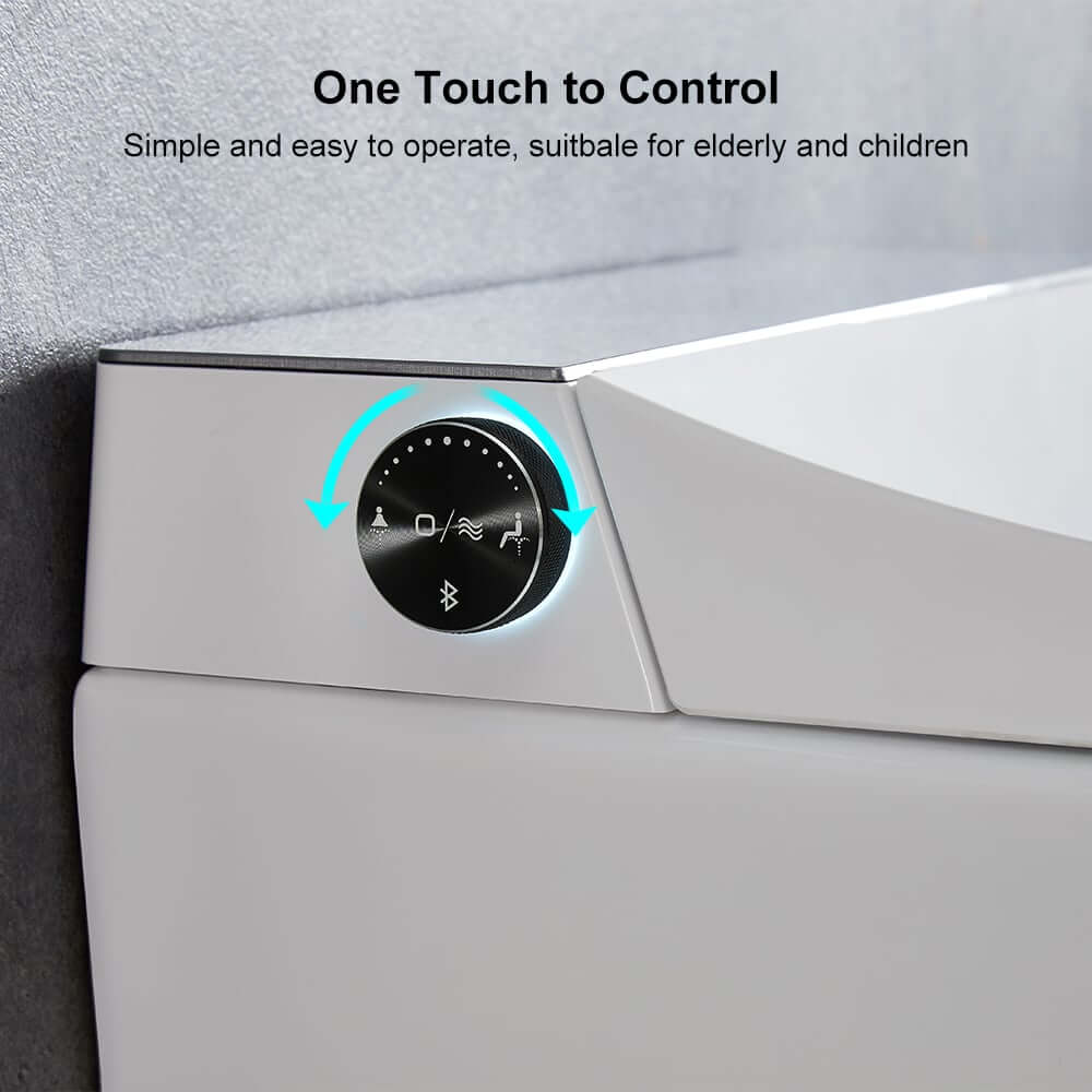 Elongated White Wall-Mounted Bidet Toilet with Heated Seat and Dual Flush