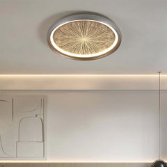 Gray Dome LED Ceiling Light with Remote Control and Firework Design