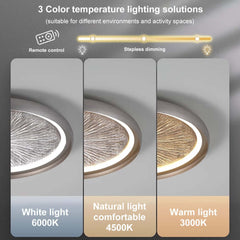 Gray Dome LED Ceiling Light with Remote Control and Firework Design