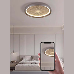Gray Dome LED Ceiling Light with Remote Control and Firework Design