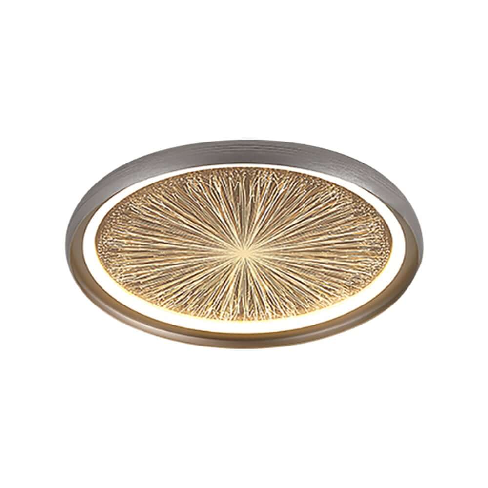 Gray Dome LED Ceiling Light with Remote Control and Firework Design