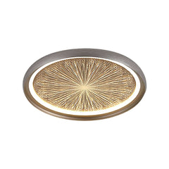 Gray Dome LED Ceiling Light with Remote Control and Firework Design