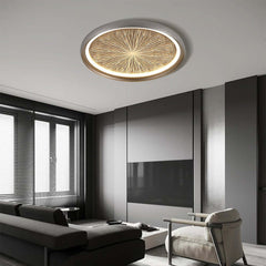 Gray Dome LED Ceiling Light with Remote Control and Firework Design