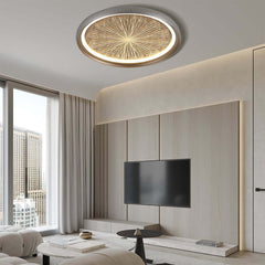 Gray Dome LED Ceiling Light with Remote Control and Firework Design