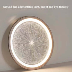 Gray Dome LED Ceiling Light with Remote Control and Firework Design