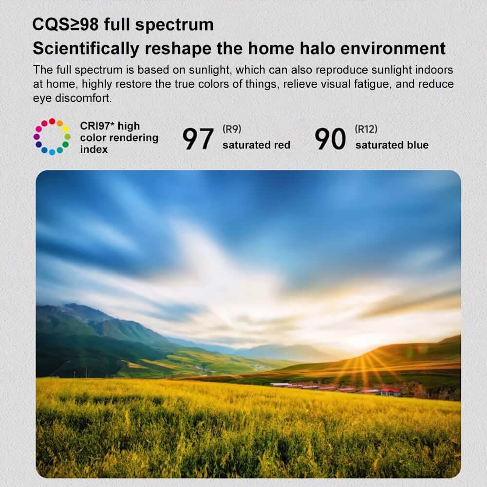 Gray Dome LED Ceiling Light with Remote Control and Firework Design