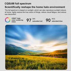 Gray Dome LED Ceiling Light with Remote Control and Firework Design