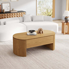 Mid-Century Modern Oval Coffee Table With Storage