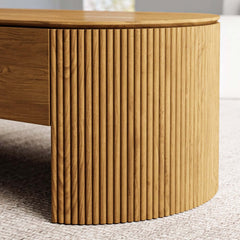 Mid-Century Modern Oval Coffee Table With Storage