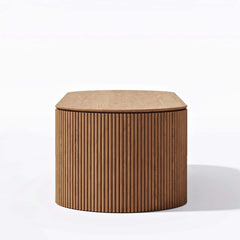 Mid-Century Modern Oval Coffee Table With Storage