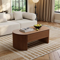 Mid-Century Modern Oval Coffee Table With Storage