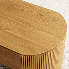 Mid-Century Modern Oval Coffee Table With Storage