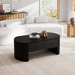 Mid-Century Modern Oval Coffee Table With Storage