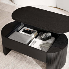 Mid-Century Modern Oval Coffee Table With Storage